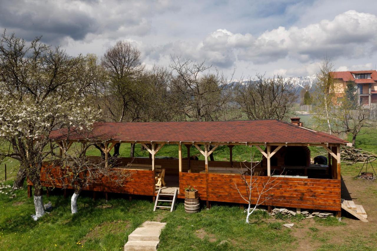 Transylvanian House Drumu Carului Экстерьер фото
