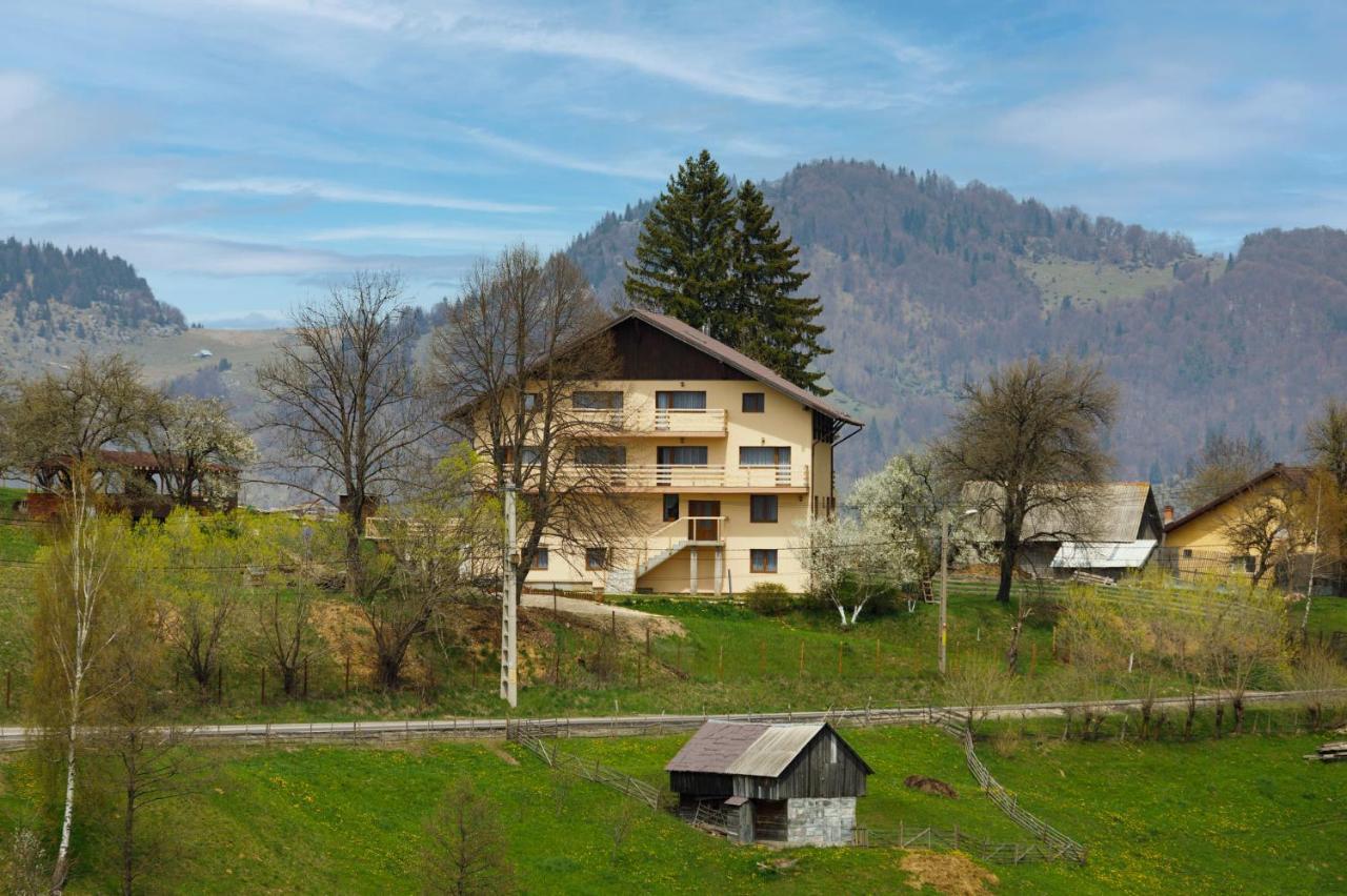 Transylvanian House Drumu Carului Экстерьер фото