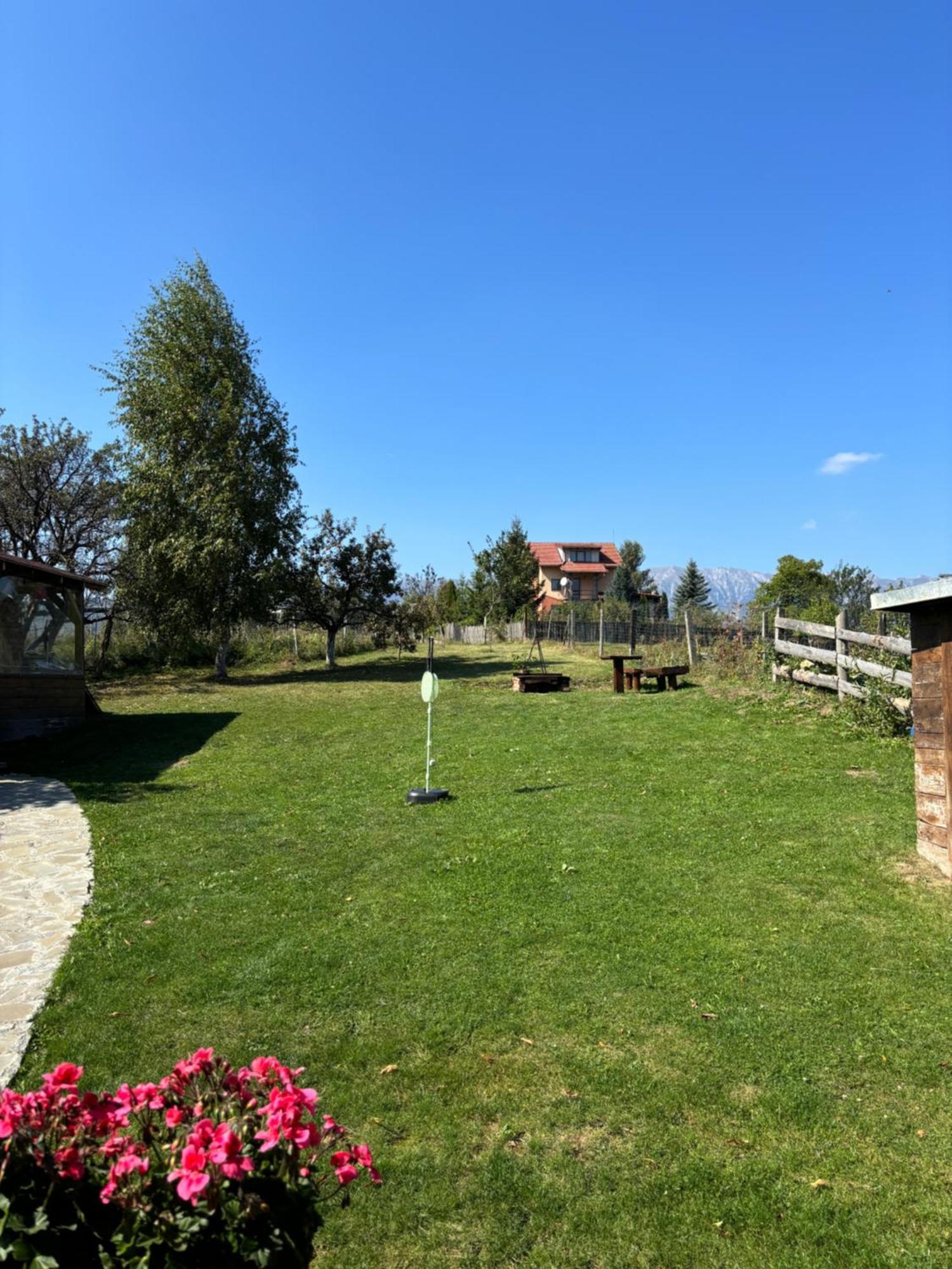 Transylvanian House Drumu Carului Экстерьер фото