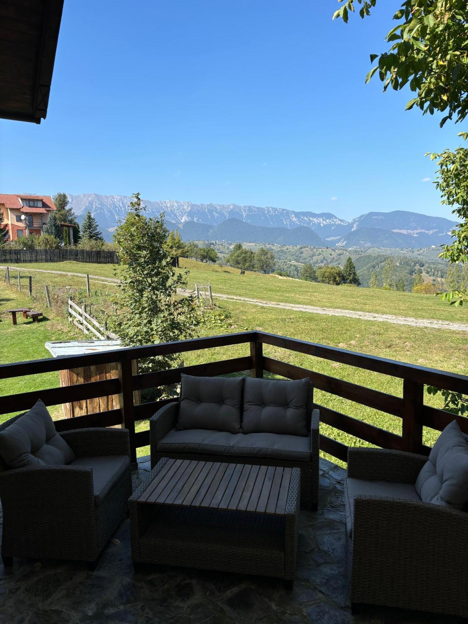 Transylvanian House Drumu Carului Экстерьер фото